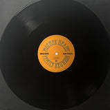 Richie Kotzen - Mother Head's Family Reunion LP levy (uusi)