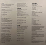 Richie Kotzen - Mother Head's Family Reunion LP levy (uusi)