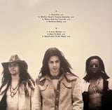 Richie Kotzen - Mother Head's Family Reunion LP levy (uusi)