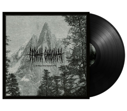 Efraah Enhsikaah - One Thousand Vultures Waiting to Be Fed (Vinyl LP) - LP uusi
