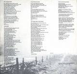 The Rainmakers (2) - Tornado LP levy (käytetty)