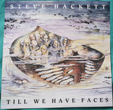 Steve Hackett - Till We Have Faces LP levy (uusi)