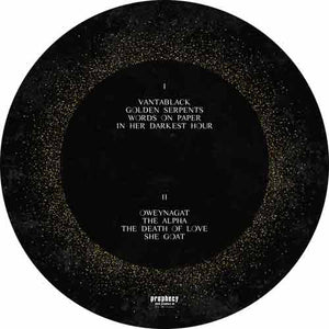 Dool - Here Now, There Then (Picture Disc) - LP uusi