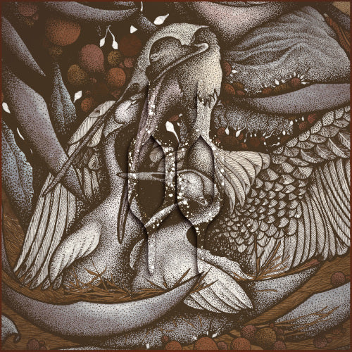Appalooza - Shining Son The (Brown Vinyl) - LP uusi