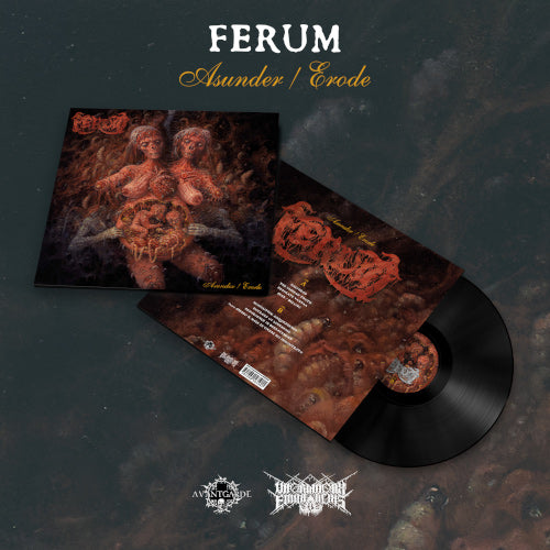 Ferum - Asunder / Erode (Black Vinyl LP) - LP uusi