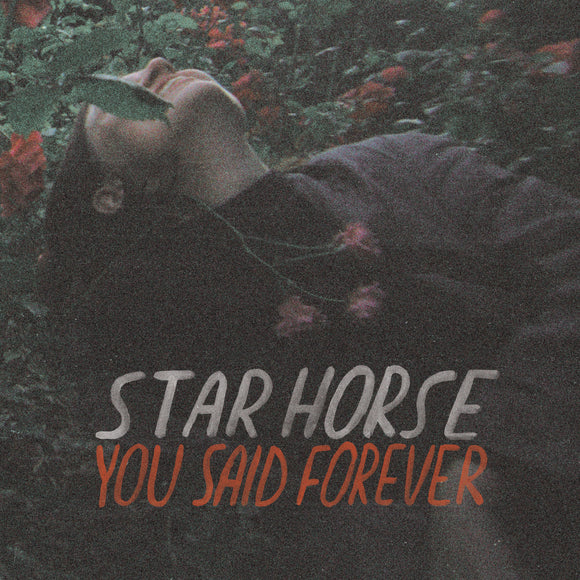 Star Horse - You Said Forever - LP (uusi)