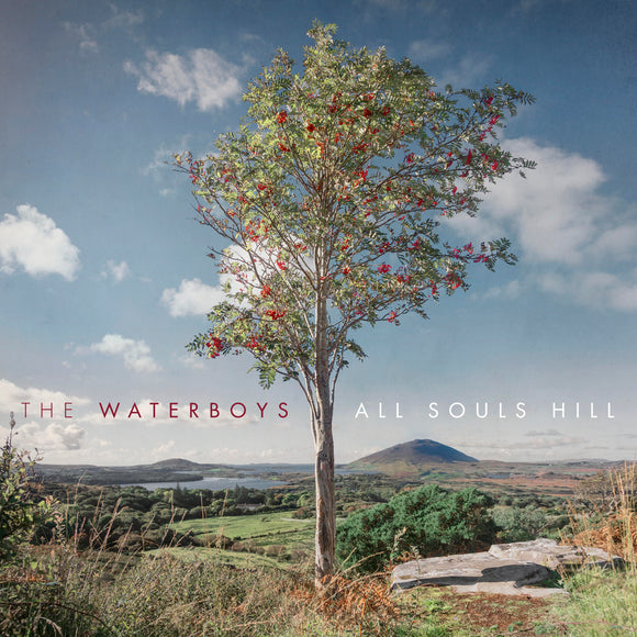 Waterboys The - All Souls Hill - LP (uusi)