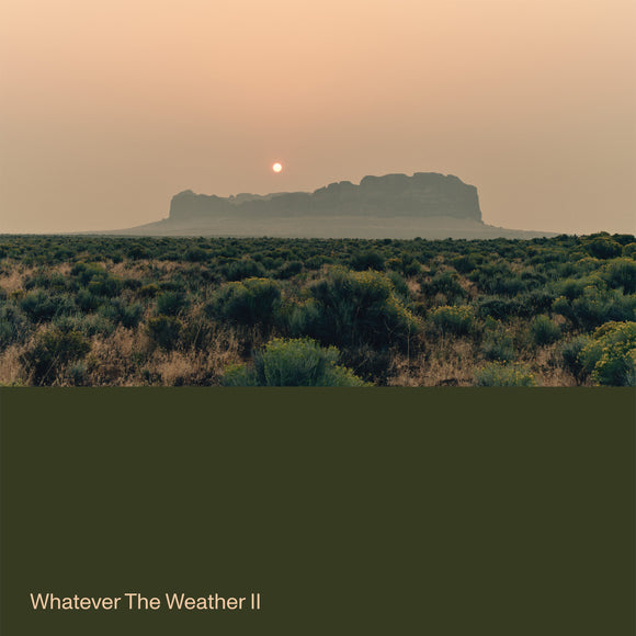 Whatever The Weather - Whatever the Weather II (Ltd Dark Green vinyl) - LP uusi