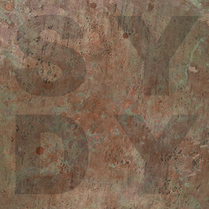 Shiny Darkly - Bronze - LP (uusi)