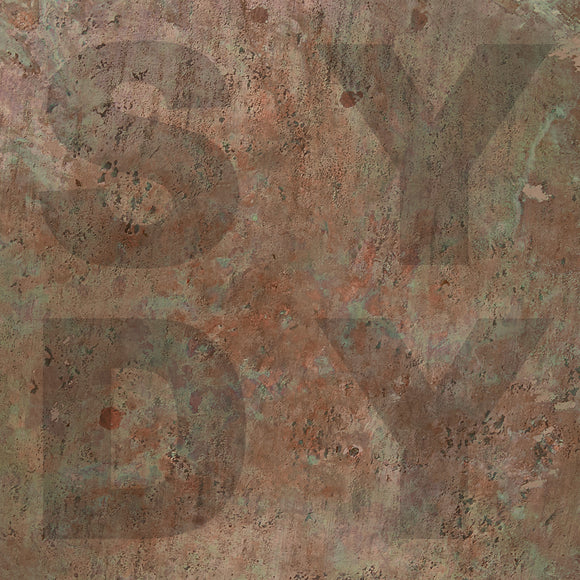 Shiny Darkly - Bronze - LP (uusi)