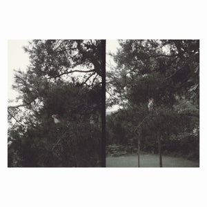 Okkyung Lee - just like any other day (어느날) : background music for your mundane activities - LP (uusi)