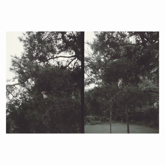 Okkyung Lee - just like any other day (어느날) : background music for your mundane activities - LP (uusi)
