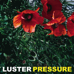 Luster - Pressure - LP (uusi)