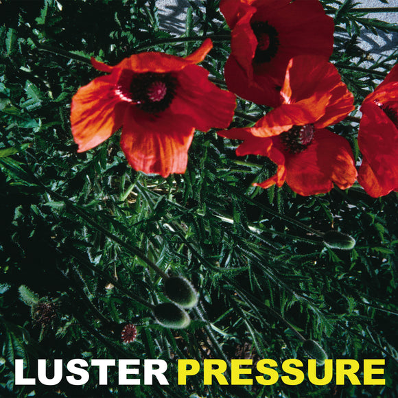 Luster - Pressure - LP (uusi)
