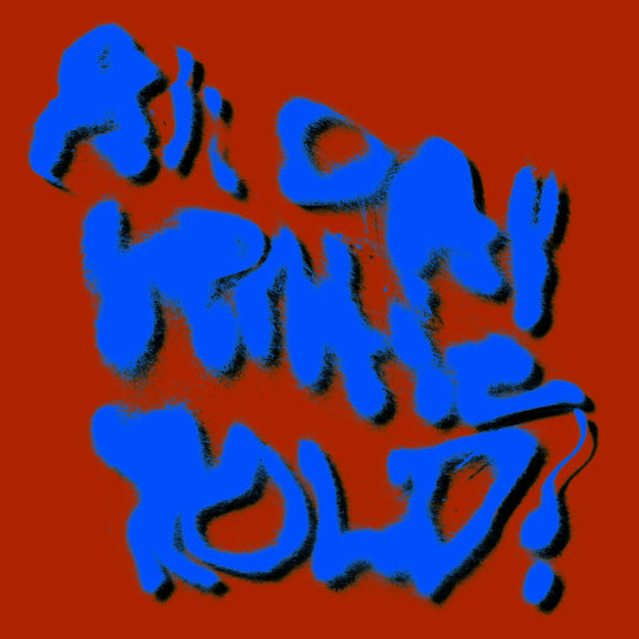 Porches - All Day Gentle Hold ! - LP (uusi)