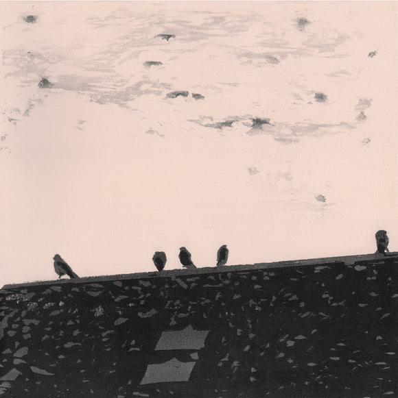 Stuart A. Staples - Arrhythmia - LP (uusi)