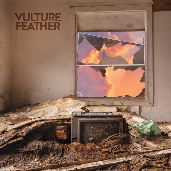 Vulture Feather - It Will Be Like Now - LP (uusi)
