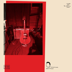 Mike Polizze - Around Sound - LP (uusi)