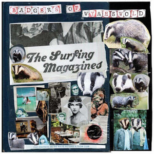 Surfing Magazines - Badgers Of Wymesworld - LP (uusi)