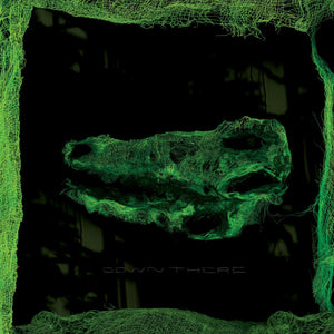 Avey Tare - Down There - LP (uusi)