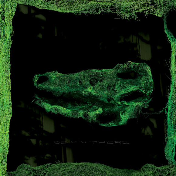 Avey Tare - Down There - LP (uusi)