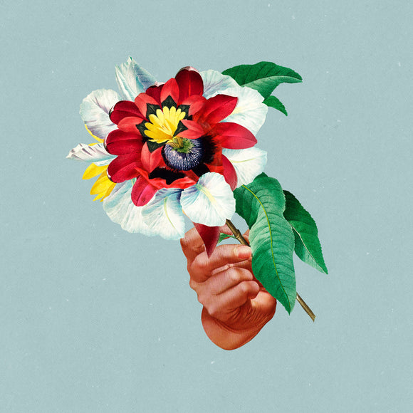 Maribou State - Kingdoms In Colour - LP (uusi)