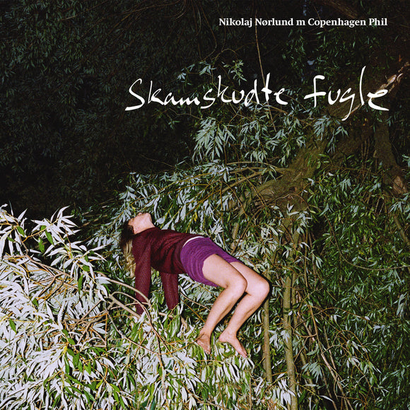 Nikolaj Nørlund / Copenhagen Phil - Skamskudte Fugle - LP (uusi)