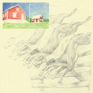 quickly, quickly - I Heard That Noise (Ltd Mint Green Vinyl) - LP uusi