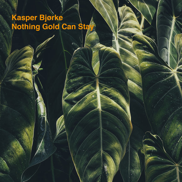 Kasper Bjørke - Nothing Gold Can Stay - LP (uusi)