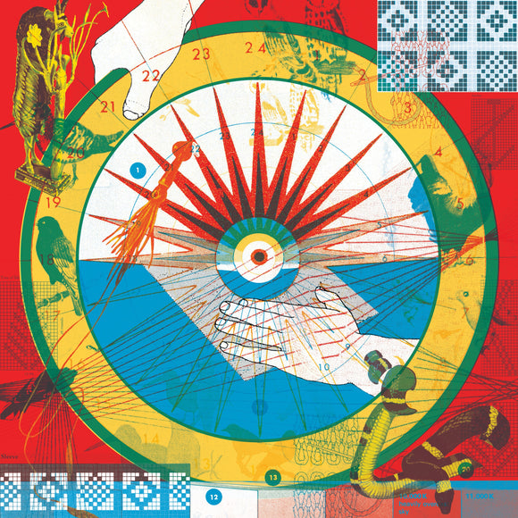 Plants and Animals - The Jungle - LP (uusi)