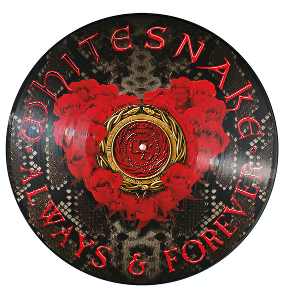 Whitesnake - Always & Forever - LP (uusi)