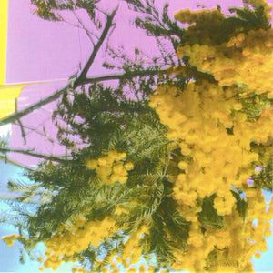 Four Tet - Into Dust (Still falling) - LP (uusi)