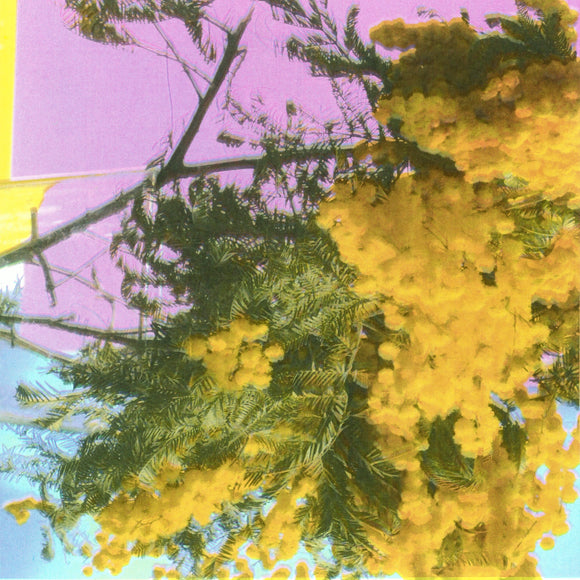 Four Tet - Into Dust (Still falling) - LP (uusi)
