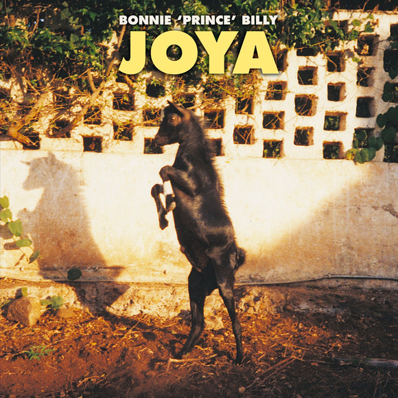 Will Oldham - Joya - LP (uusi)