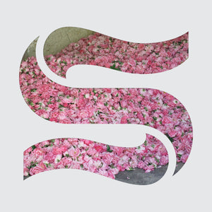 Braxe & Falcon - Step by Step - LP (uusi)