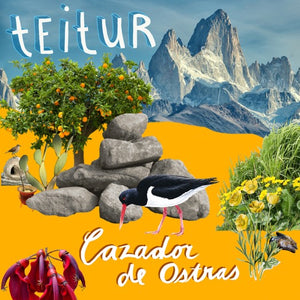 Teitur - Cazador de Ostras - LP (uusi)
