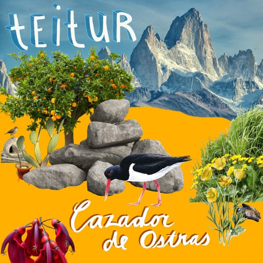 Teitur - Cazador de Ostras - LP (uusi)