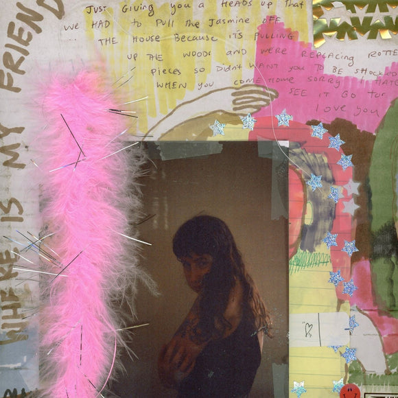 Wednesday - I Was Trying to Describe You to Someone - LP (uusi)