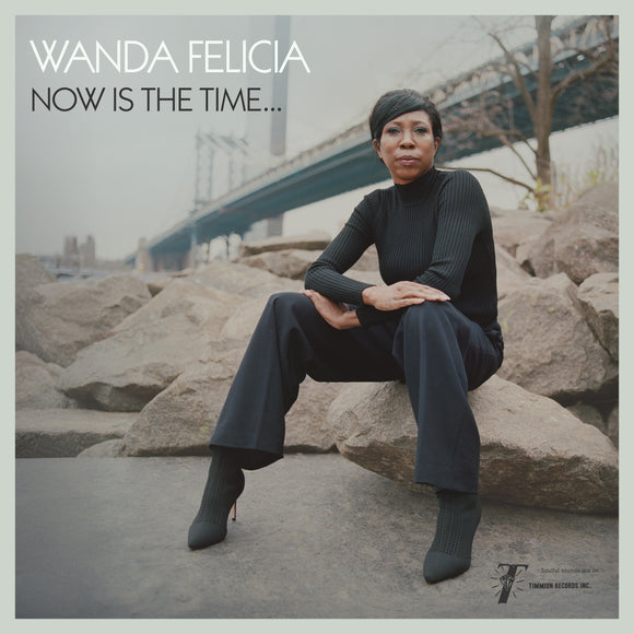Wanda Felicia & Cold Diamond & Mink - Now Is The Time (Ltd transparrent pink vinyl) - LP (uusi)