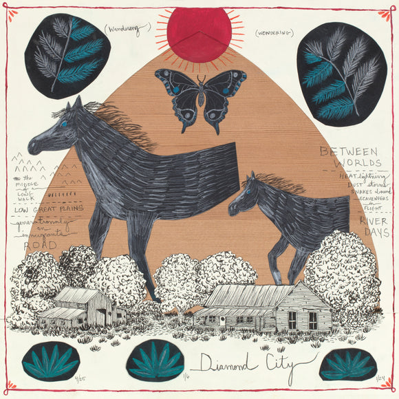 Will Johnson - Diamond City - LP (uusi)