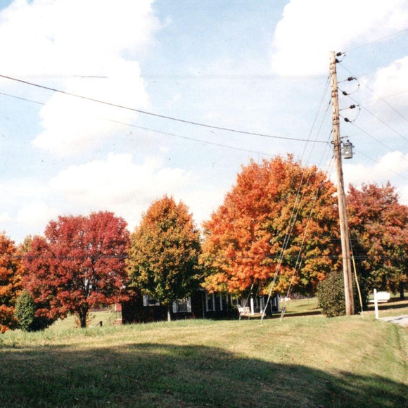 vegas water taxi - things are gonna be alright extended edition - LP (uusi)