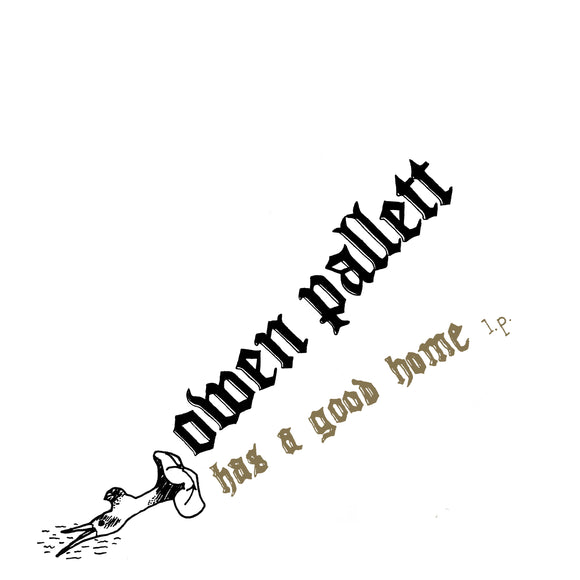 Owen Pallett - Has a Good Home - LP (uusi)