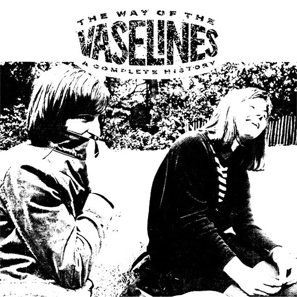 Vaselines The - The Way of the Vaselines - A Complete History - LP (uusi)