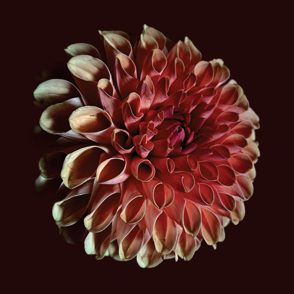 Jessica Moss - Unfolding - LP (uusi)