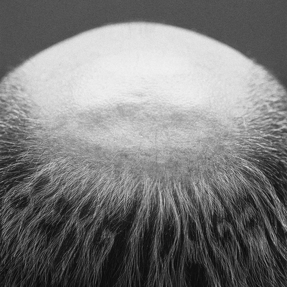 Vasas flora och fauna - Berg i dagen - LP (uusi)