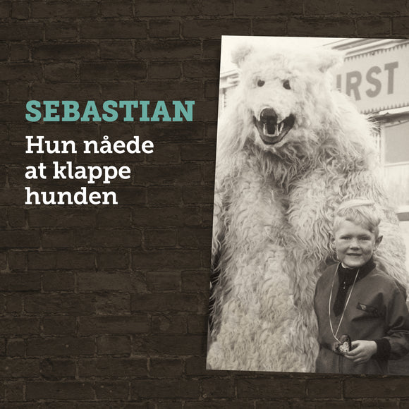 Sebastian - Hun Nåede At Klappe Hunden - LP (uusi)