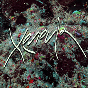 Xenoula - Xenoula - LP (uusi)
