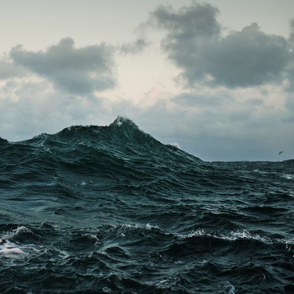 Volcano Choir - Repave - LP (uusi)